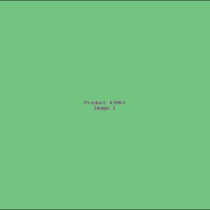 Example Product 3963