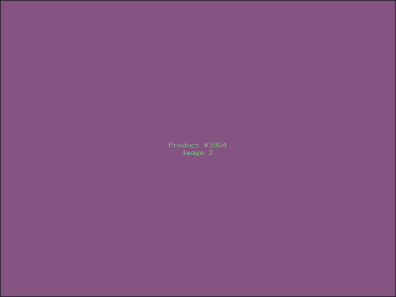 Example Product 3964 - Image 2