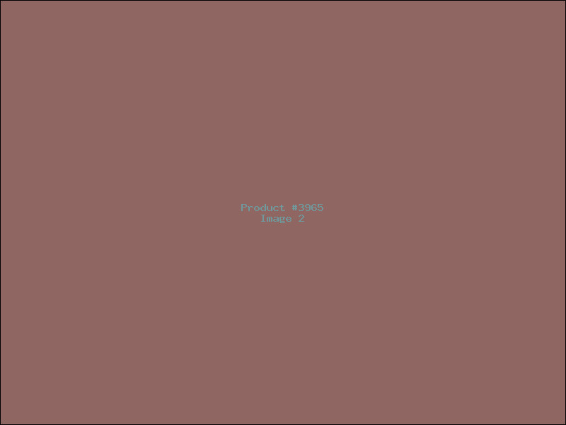 Example Product 3965 - Image 2