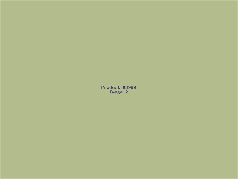Example Product 3969 - Image 2