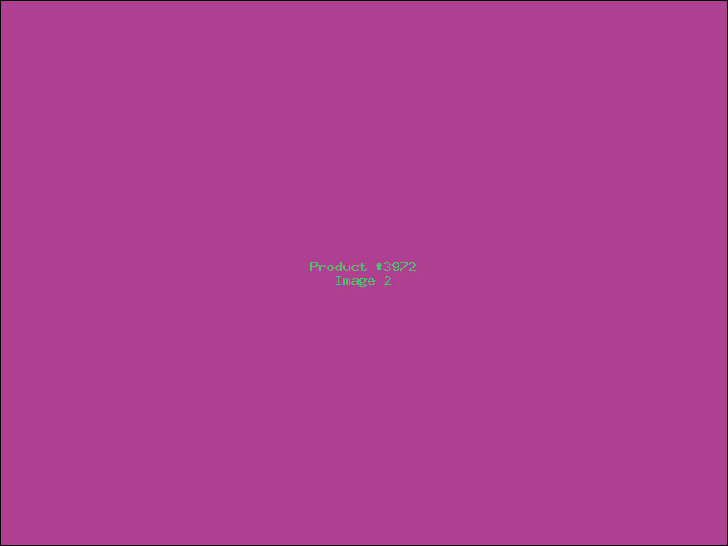 Example Product 3972 - Image 2