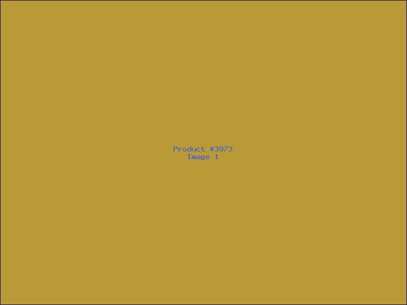Example Product 3973