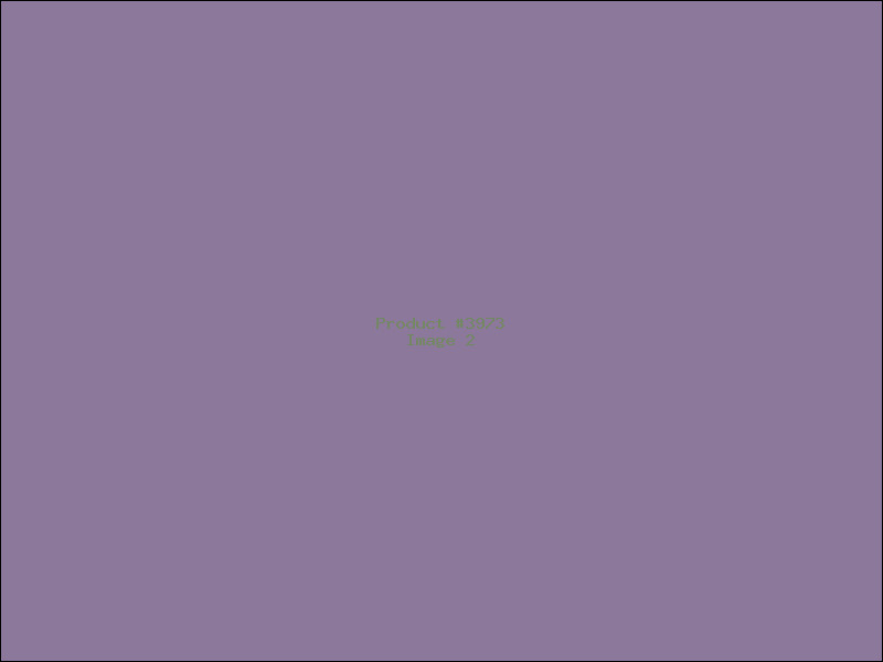 Example Product 3973 - Image 2