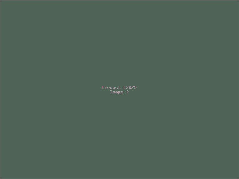 Example Product 3975 - Image 2