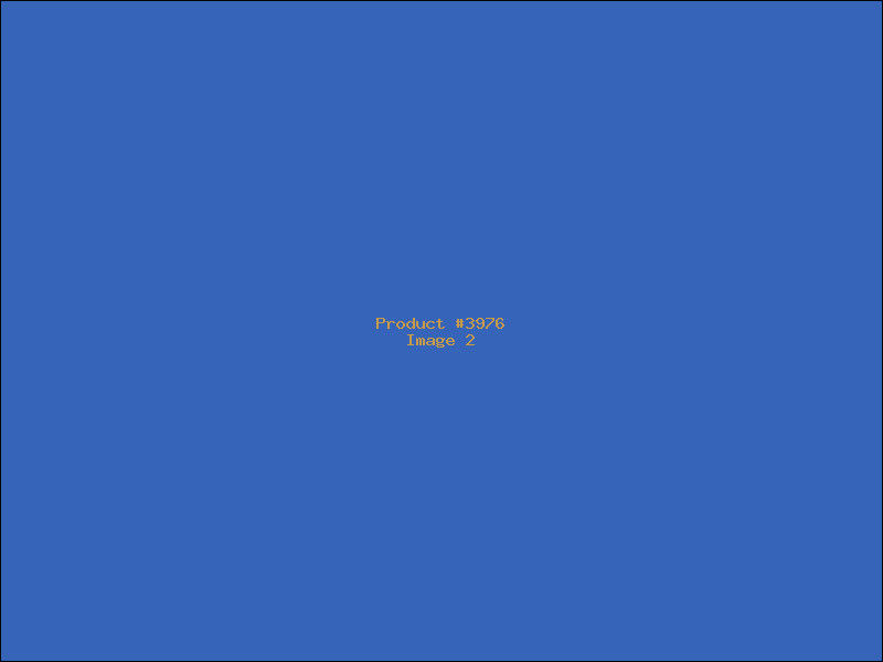 Example Product 3976 - Image 2