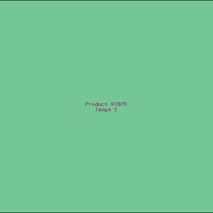 Example Product 3978
