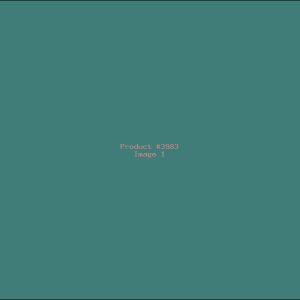 Example Product 3983