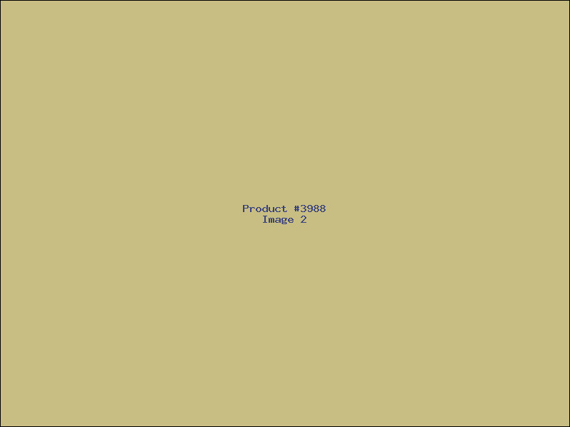 Example Product 3988 - Image 2