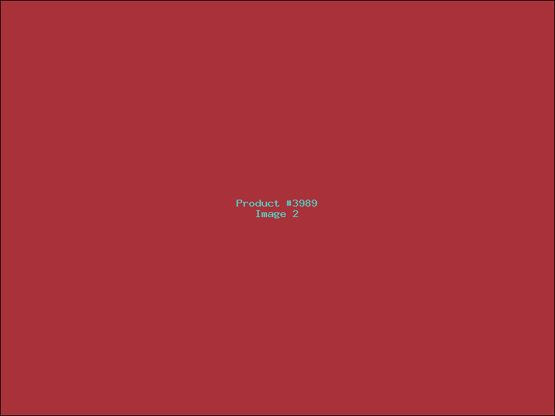 Example Product 3989 - Image 2