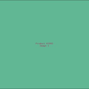 Example Product 3993