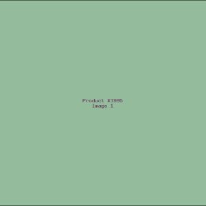 Example Product 3995