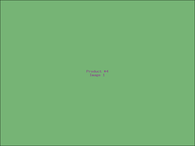 Example Product 4
