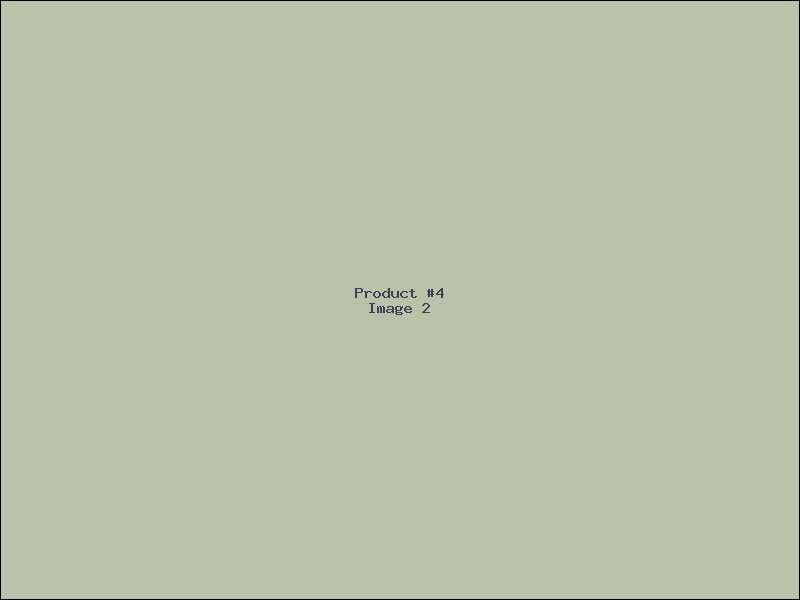 Example Product 4 - Image 2