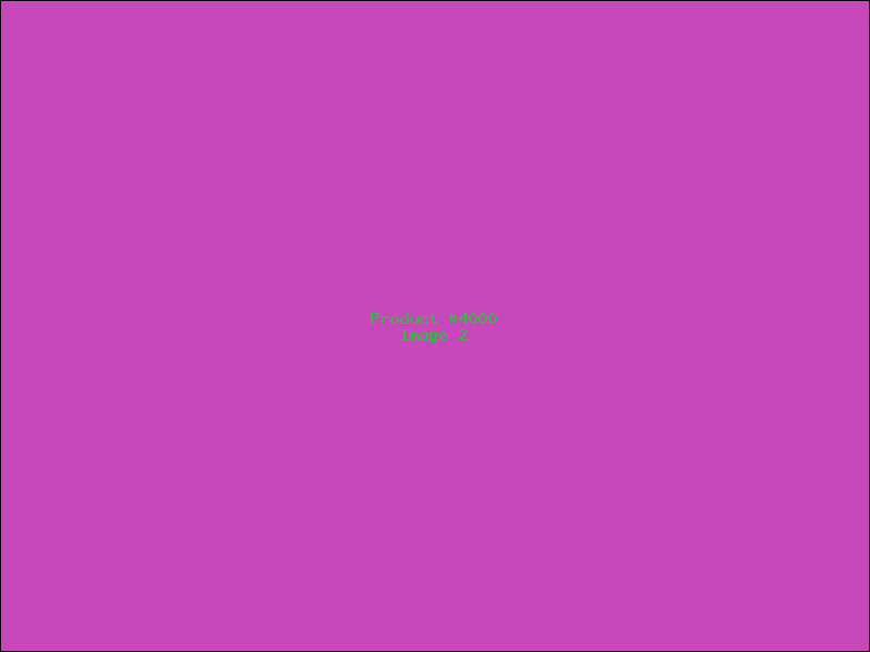 Example Product 4000 - Image 2