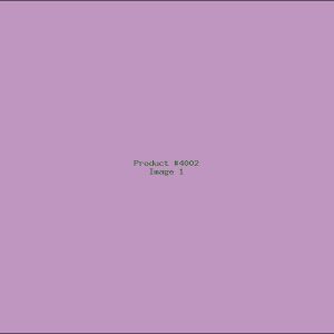 Example Product 4002