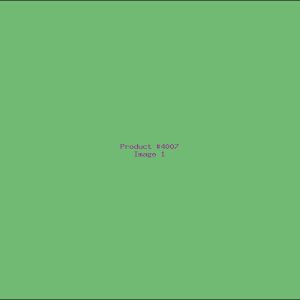 Example Product 4007