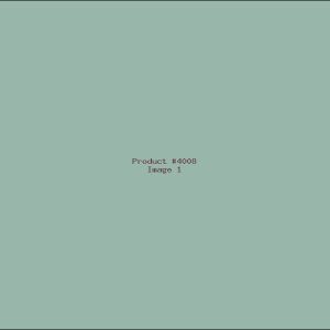 Example Product 4008