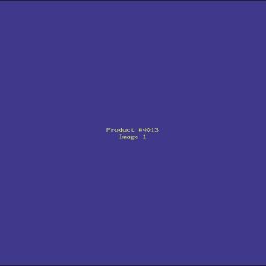 Example Product 4013