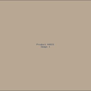 Example Product 4021