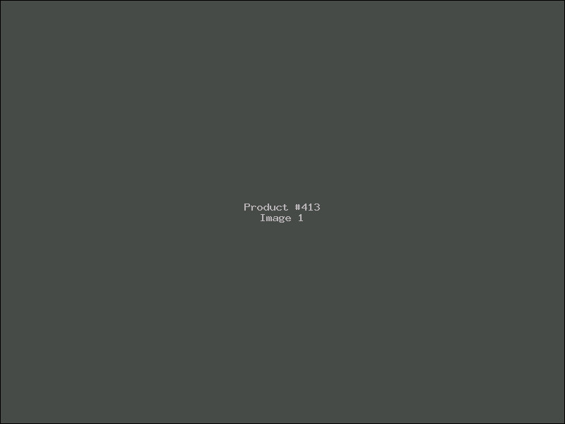 Example Product 413