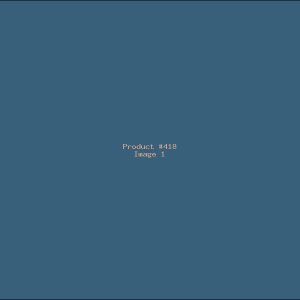 Example Product 418