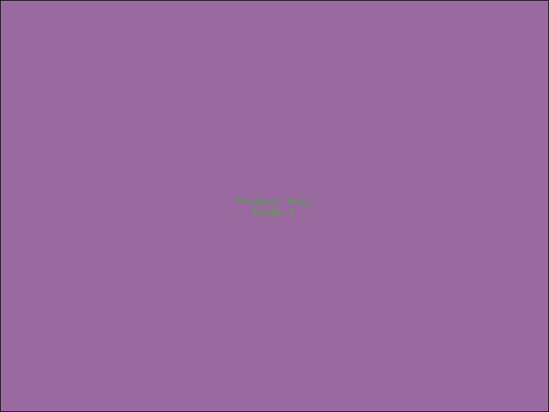 Example Product 421
