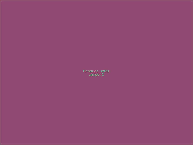 Example Product 421 - Image 2