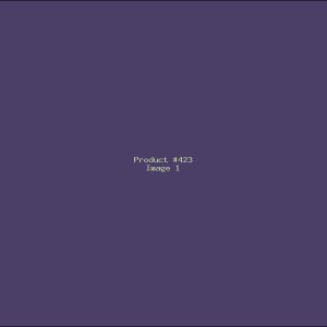 Example Product 423
