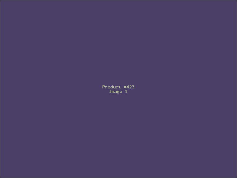 Example Product 423