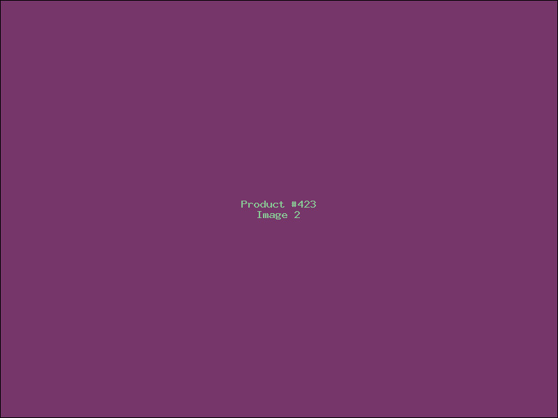 Example Product 423 - Image 2