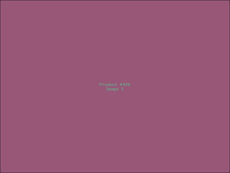 Example Product 426