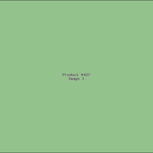 Example Product 427