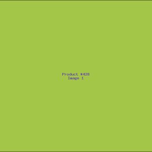 Example Product 428