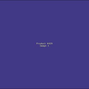 Example Product 429