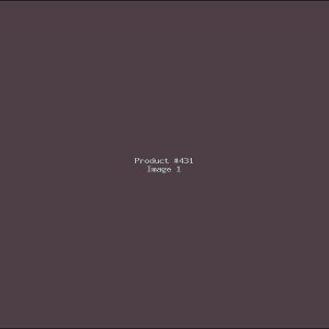 Example Product 431