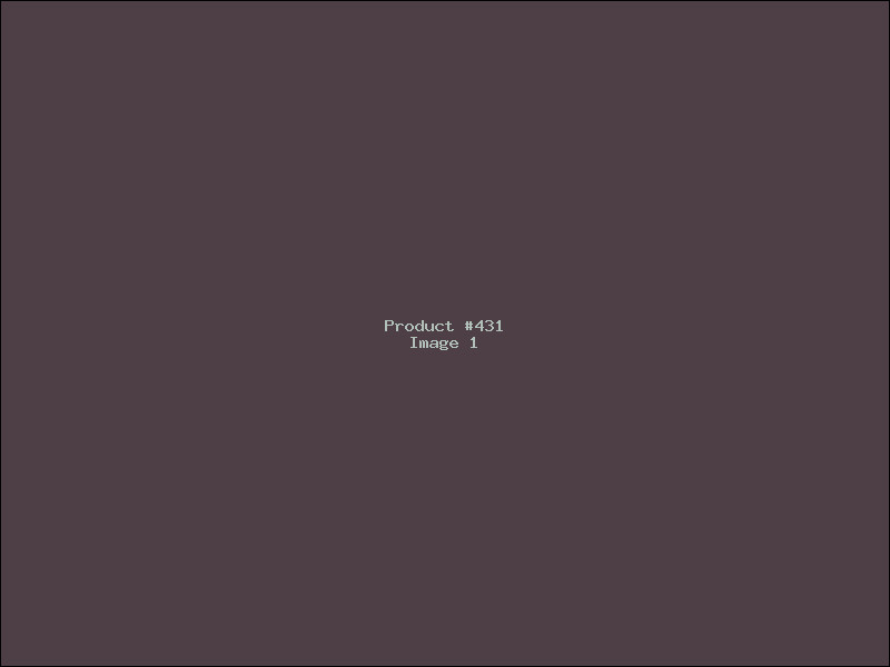 Example Product 431