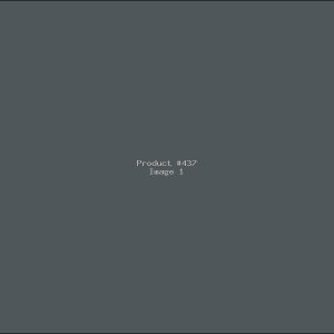 Example Product 437