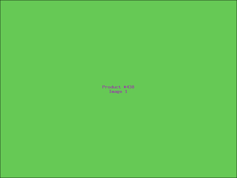 Example Product 438