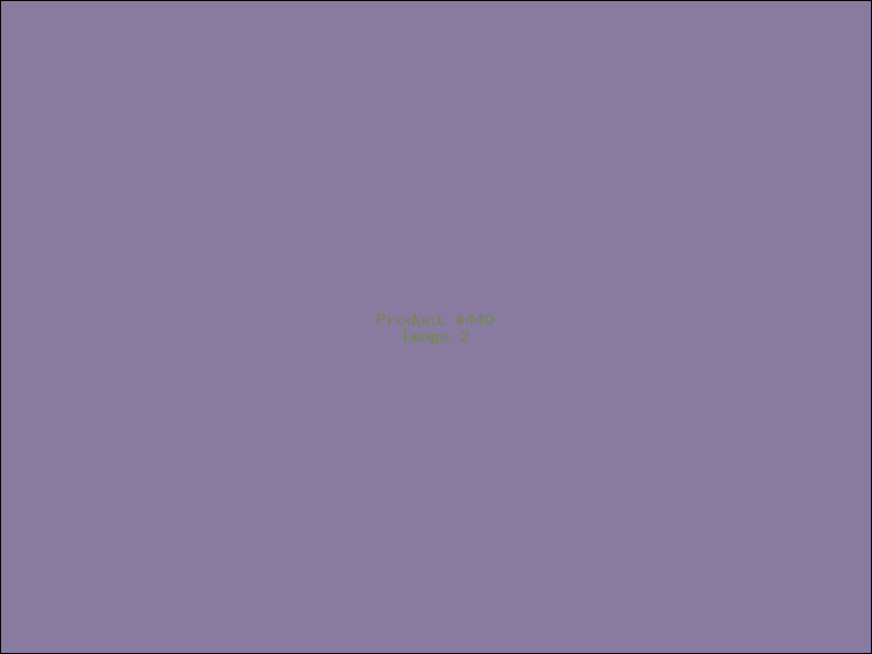 Example Product 440 - Image 2
