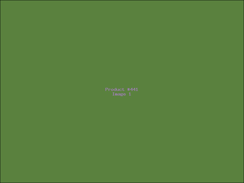 Example Product 441