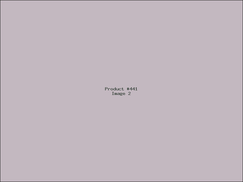 Example Product 441 - Image 2