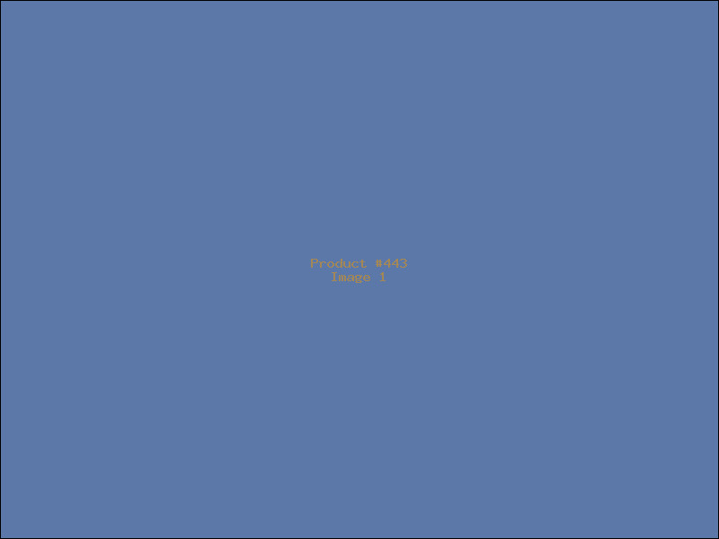 Example Product 443