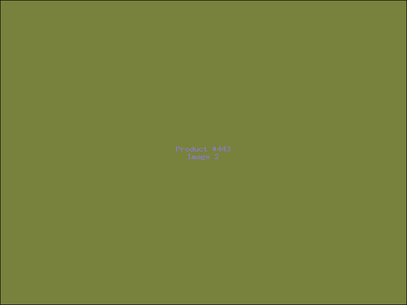 Example Product 443 - Image 2