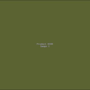 Example Product 448