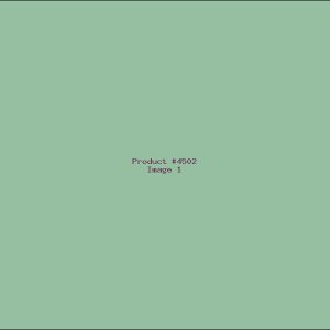 Example Product 4502