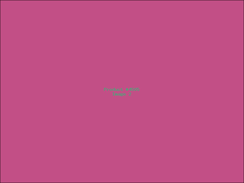 Example Product 4505 - Image 2