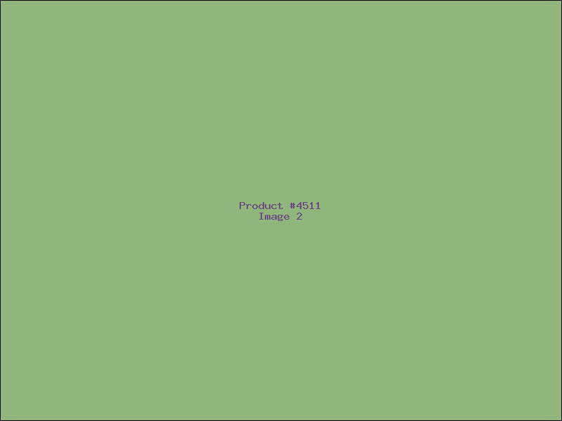 Example Product 4511 - Image 2