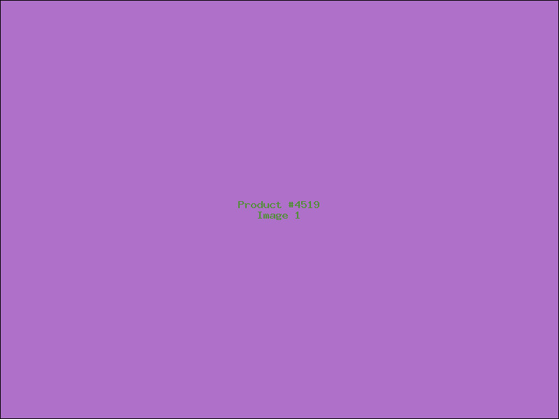 Example Product 4519