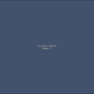 Example Product 4524
