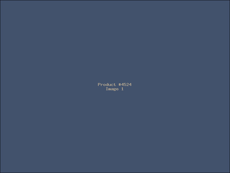 Example Product 4524